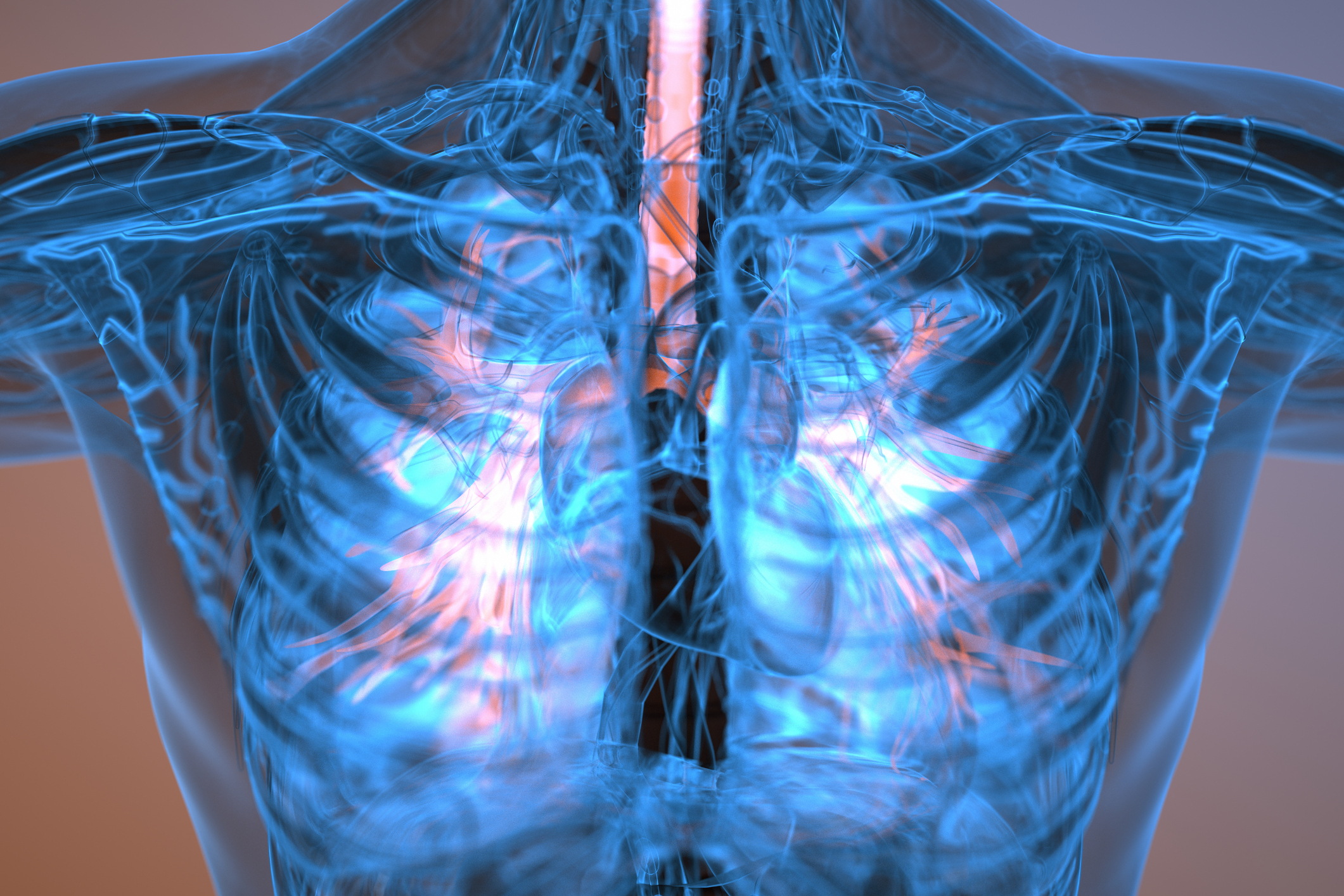 Automated airway analysis with artificial intelligence